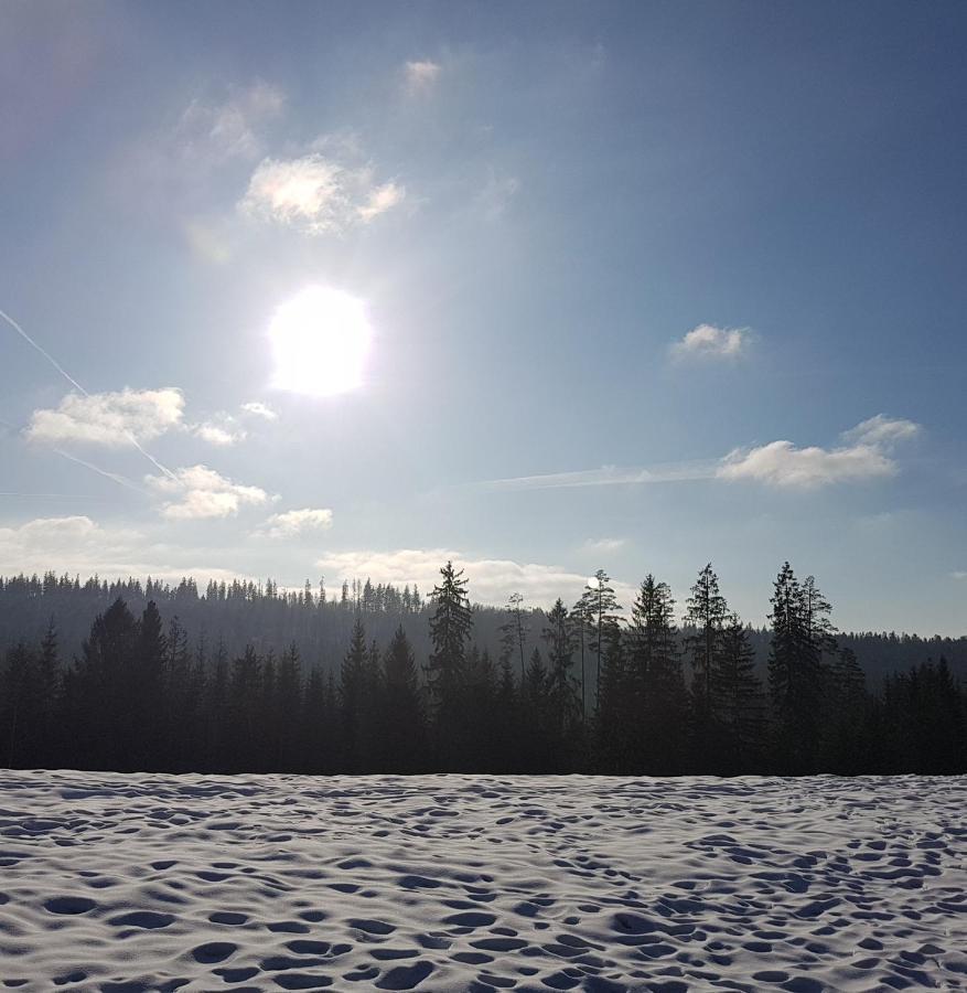 Koniakowo - Dom Hunter Villa Exteriör bild