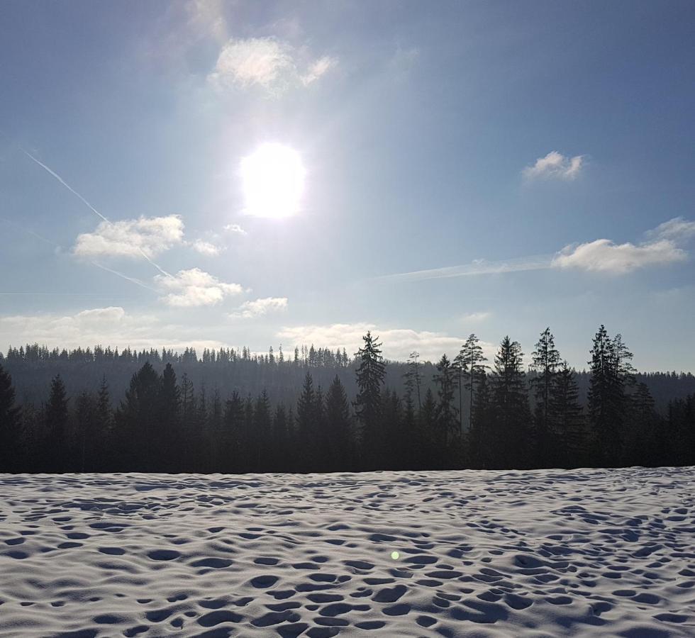 Koniakowo - Dom Hunter Villa Exteriör bild