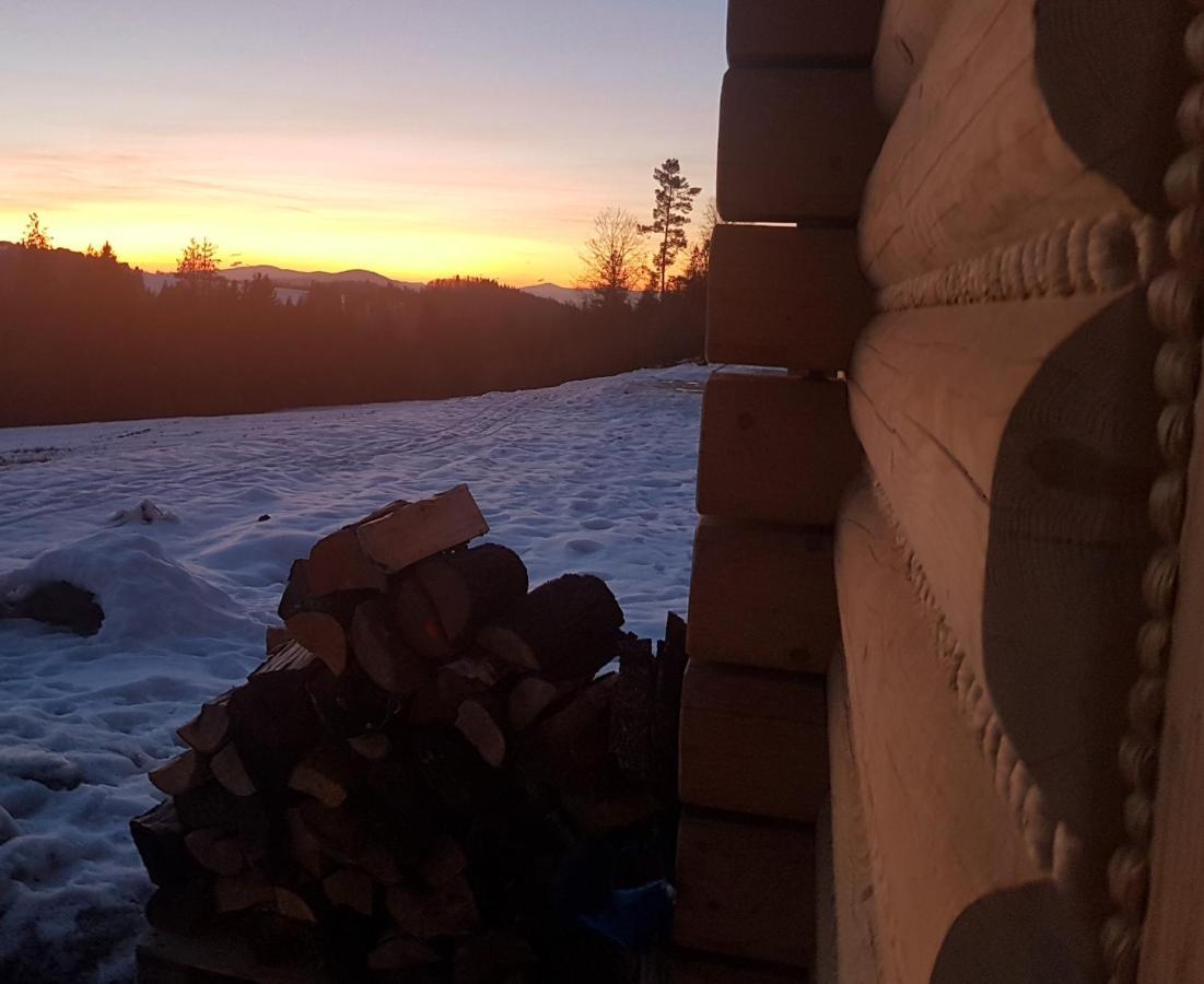 Koniakowo - Dom Hunter Villa Exteriör bild